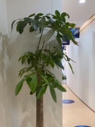 -郑荃丽格医疗美容