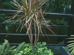 -NLFS1983咖啡花园餐厅(锦桂店)