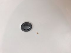 -深圳罗湖东门步行街亚朵X酒店