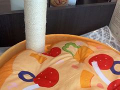 -必胜客(金鹰店)