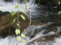 -西岭雪山大飞水景区