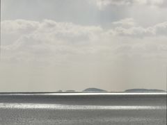 -如花大师咖啡·