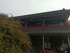 -报国寺