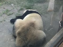 -无锡动物园·太湖欢乐园