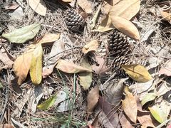 -梦姑塘文化公园