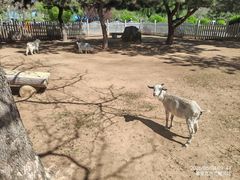 -秦皇岛野生动物园