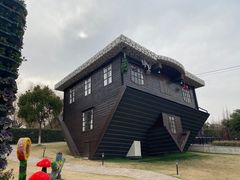 -金山农民画村-枫泾波兰倒置屋