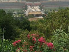 android_upload_pic-景山公园