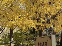 -丰台花园