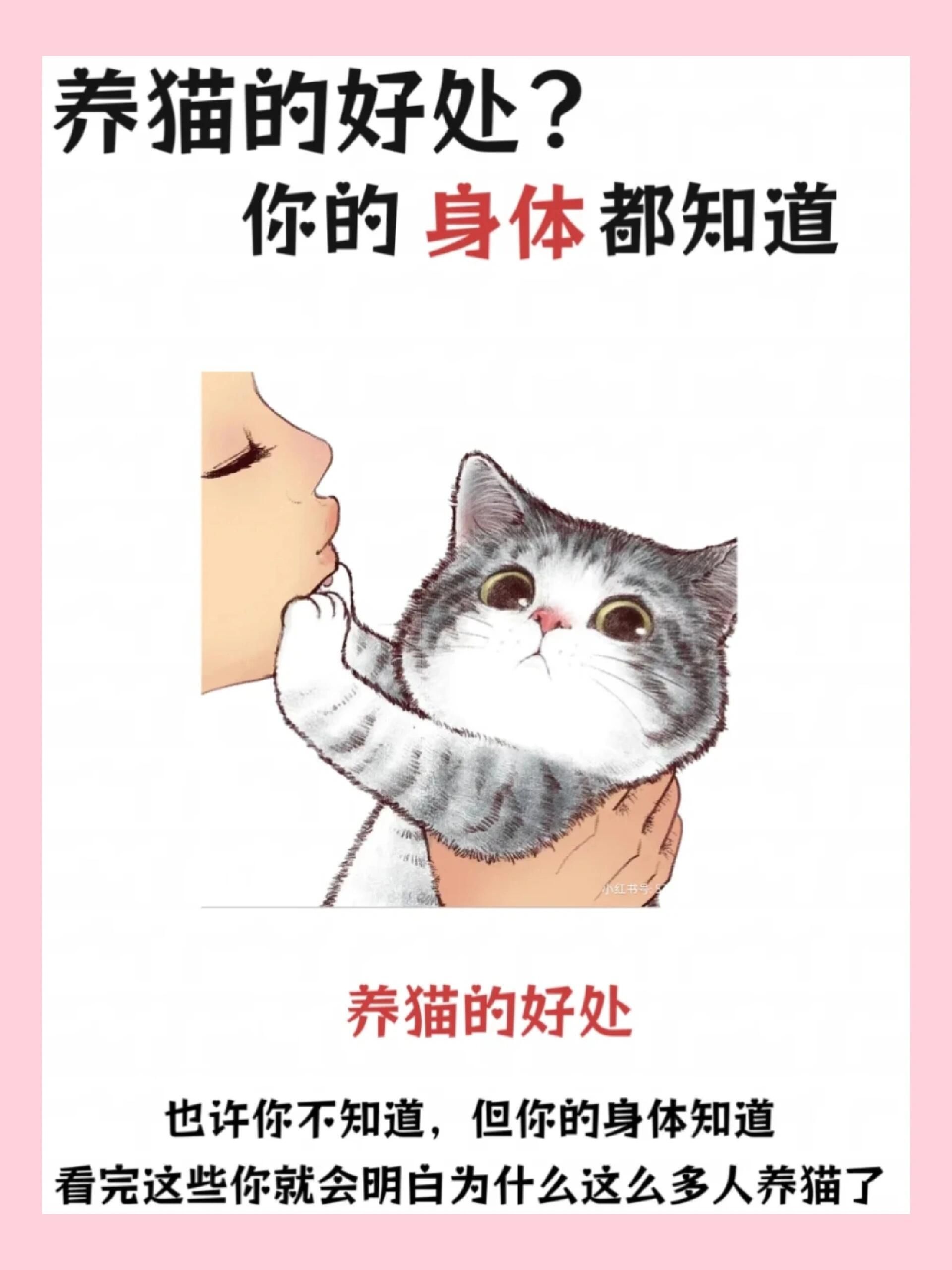 猫为什么不通人性