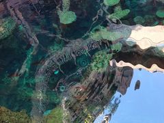 -长鹿旅游休博园
