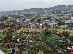 -枇杷园食为鲜火锅(南山店)
