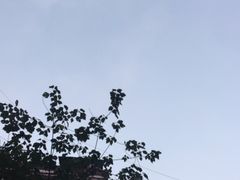 -金枫锅贴(滨江·凯旋门店)