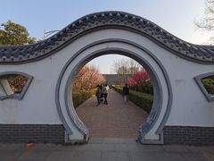 -洛阳市隋唐城遗址植物园