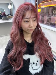 -蚂蚁造型沙龙