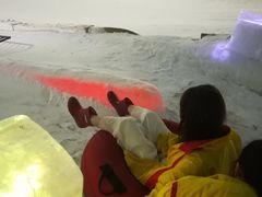 -世界之窗阿尔卑斯冰雪世界