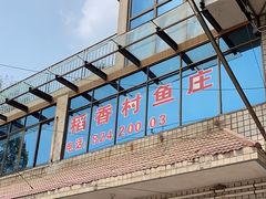 -稻香村鱼庄
