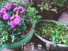 -新竹里馆·花园餐厅(兴苑路店)