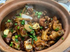 -广宁炭炉鸡煲·富临门饭店