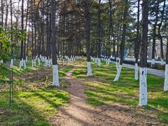 -长春市南湖公园