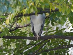 -苏州河梦清园环保主题公园