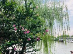 -运河游船(武林门码头)