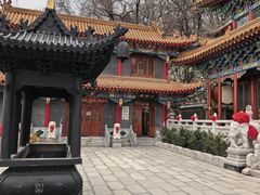 -高尔山公园