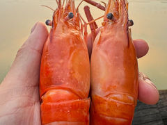 -蟹天蟹地农家菜·阳澄湖大闸蟹(浅水湾店)