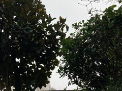 -万象温泉景区