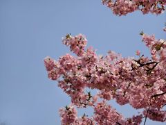 -上海辰山植物园