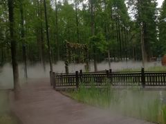 -黄海国家森林公园