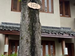 -青城山六善酒店·紫氣園中餐厅