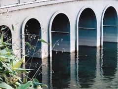 -四海公园(南山区)