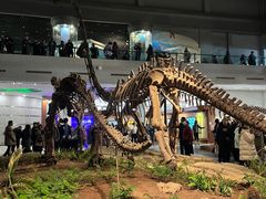 -自贡恐龙博物馆