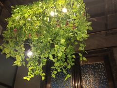 -琼菜王(南海店)