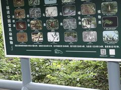 -福道