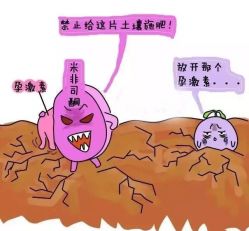 -邢台妇产医院