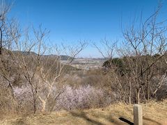 -北京西山国家森林公园