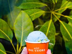 -Dal Cuore 达可芮冰淇淋(陕西北路店)