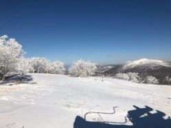 -大秃顶子山