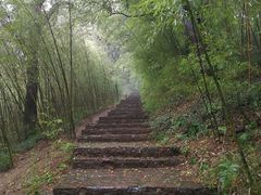 -紫金山天文台