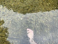 -融汇温泉