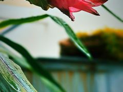 -稍可轩博物馆餐厅