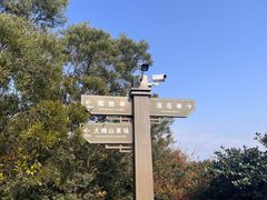 -大姆山草场