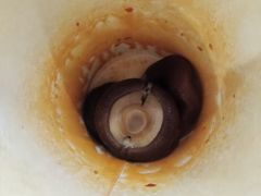 -中百罗森(新武展店)