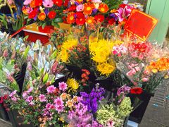 -溪岸路花鸟市场