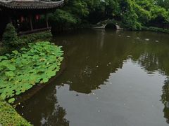 -绮园景区