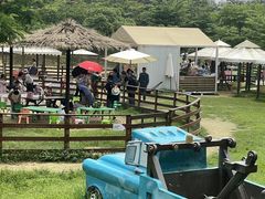 -盈香心动乐园