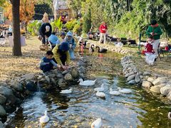 -HERRE·FARM 赫尔露营农场·团建聚会包场