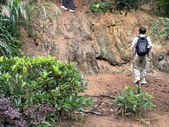 -青龙山国家森林公园